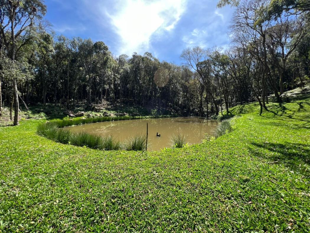 Agrícola em SÃO JOSÉ DOS PINHAIS - PR, no bairro Campestre - Referência 0004-CAV