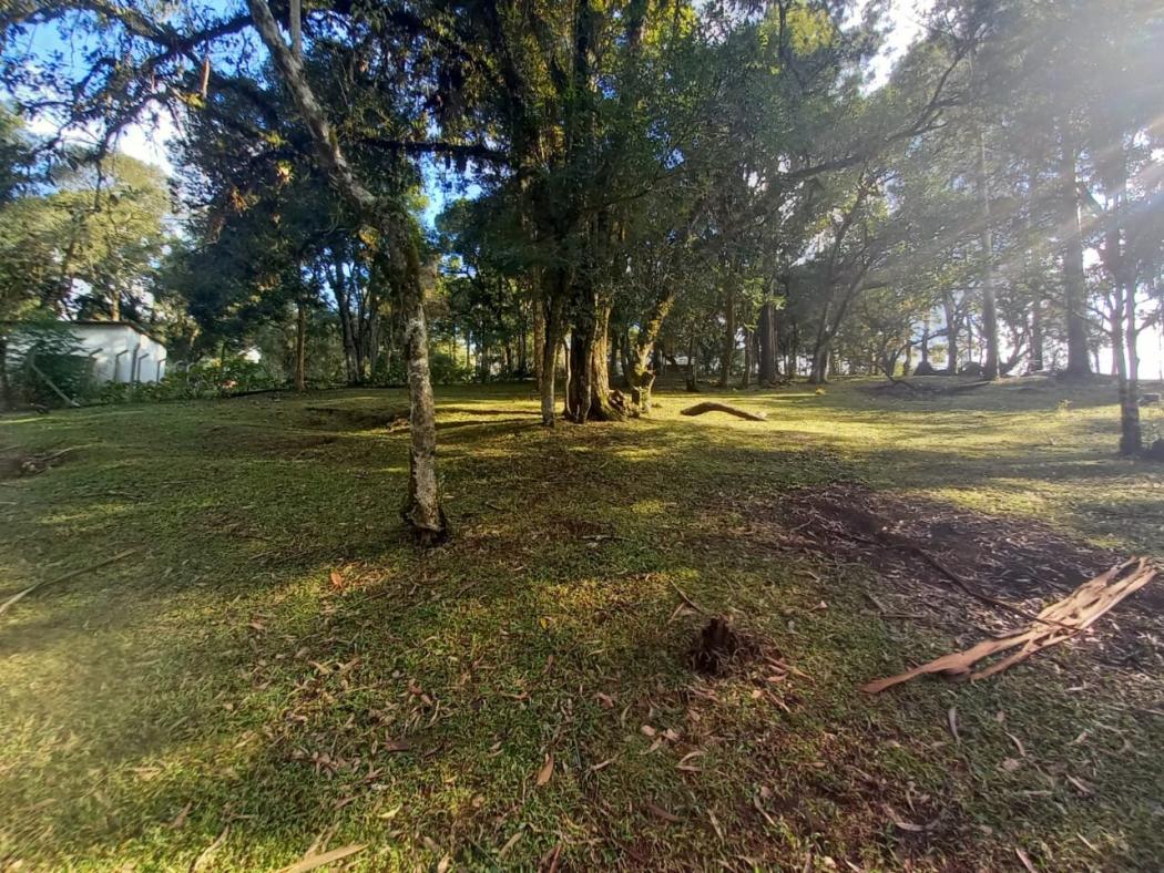 Casa à venda em Colônia Murici, São José dos Pinhais — Hub Urbana