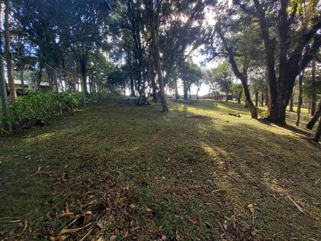 Casa à venda em Colônia Murici, São José dos Pinhais — Hub Urbana