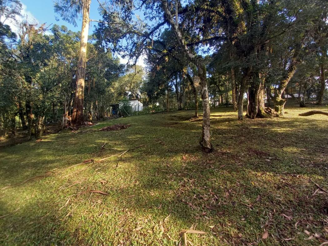 Casa à venda em Colônia Murici, São José dos Pinhais — Hub Urbana