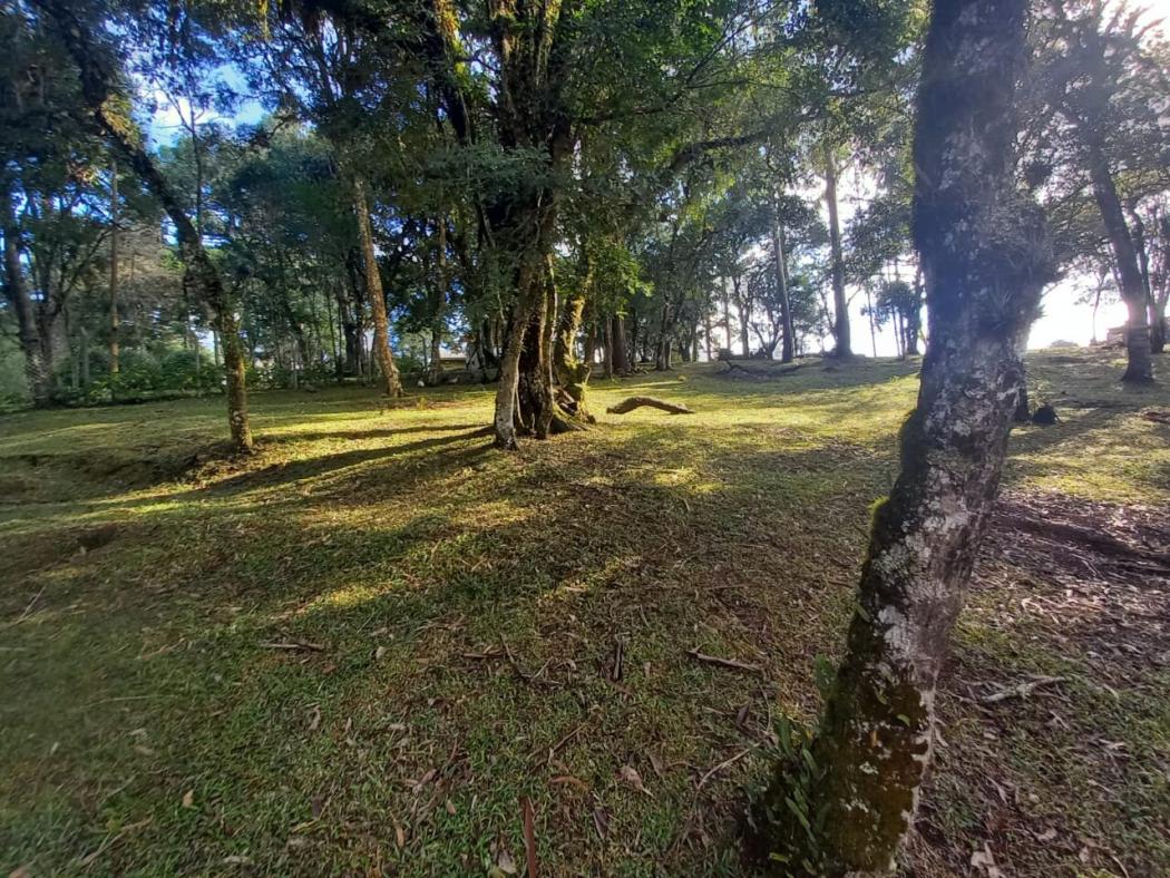 Casa à venda em Colônia Murici, São José dos Pinhais — Hub Urbana