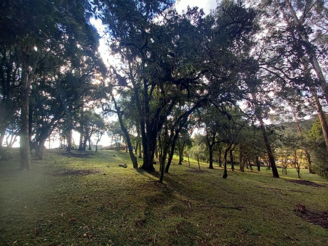Casa à venda em Colônia Murici, São José dos Pinhais — Hub Urbana