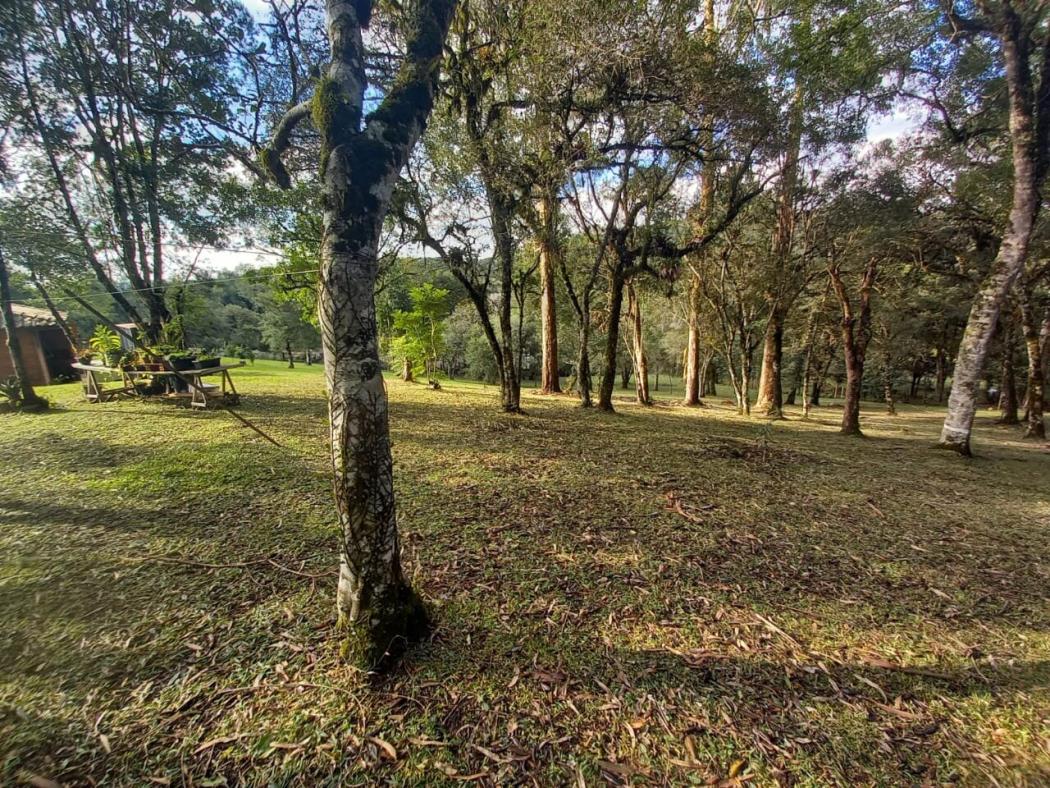 Casa à venda em Colônia Murici, São José dos Pinhais — Hub Urbana