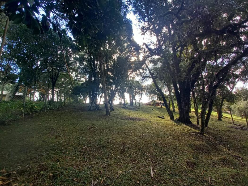 Casa à venda em Colônia Murici, São José dos Pinhais — Hub Urbana