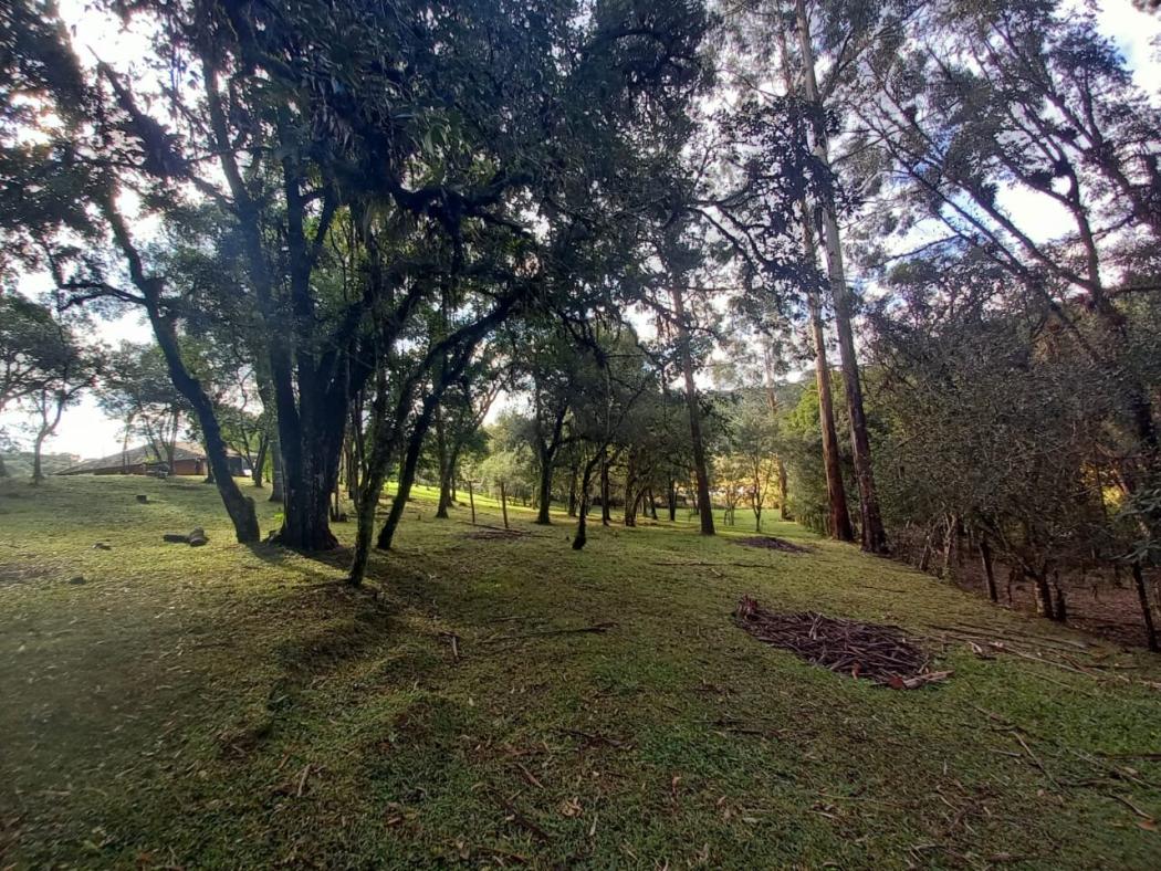 Casa à venda em Colônia Murici, São José dos Pinhais — Hub Urbana