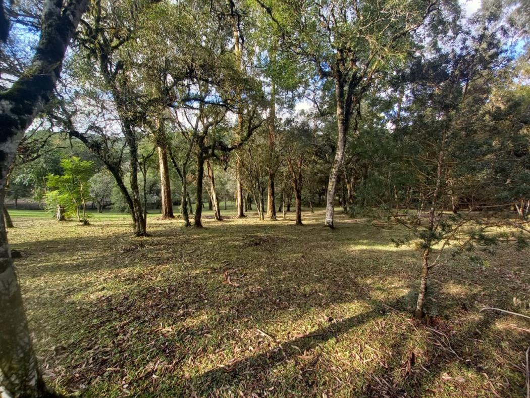 Casa à venda em Colônia Murici, São José dos Pinhais — Hub Urbana