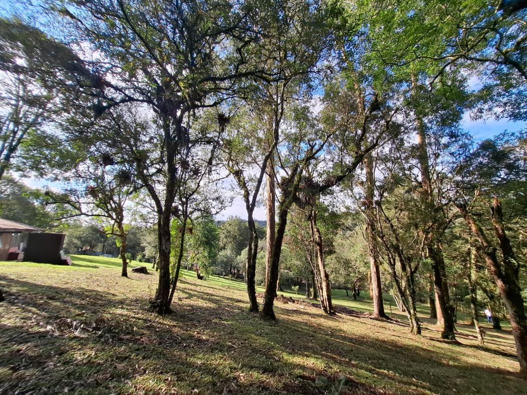 Casa à venda em Colônia Murici, São José dos Pinhais — Hub Urbana