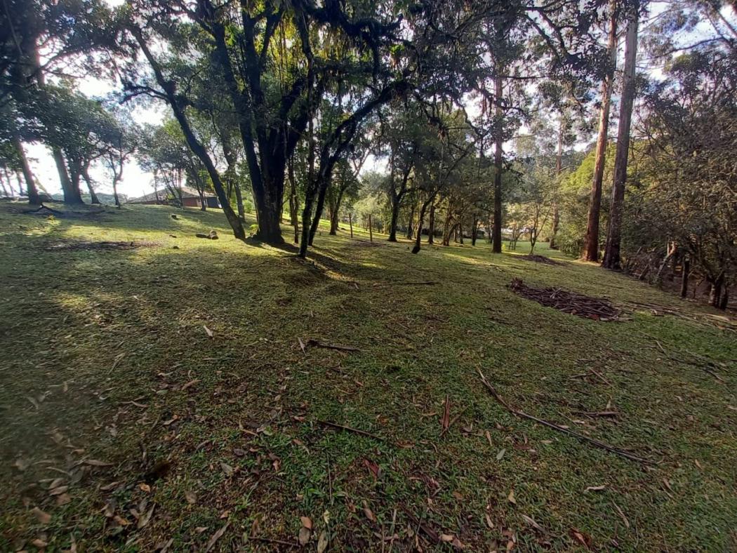 Casa à venda em Colônia Murici, São José dos Pinhais — Hub Urbana