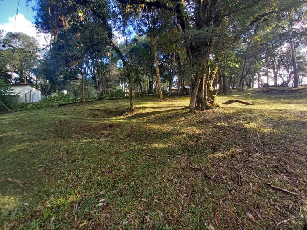 Casa à venda em Colônia Murici, São José dos Pinhais — Hub Urbana