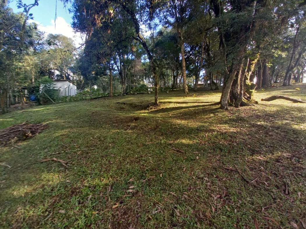 Casa à venda em Colônia Murici, São José dos Pinhais — Hub Urbana