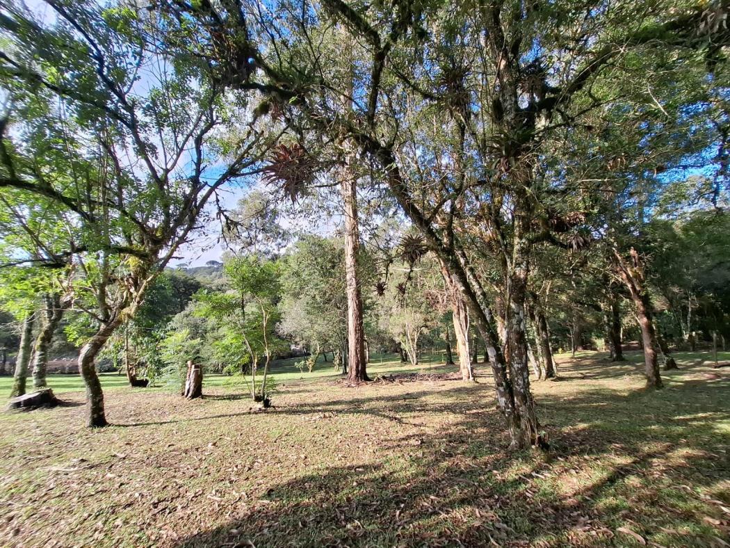 Casa à venda em Colônia Murici, São José dos Pinhais — Hub Urbana