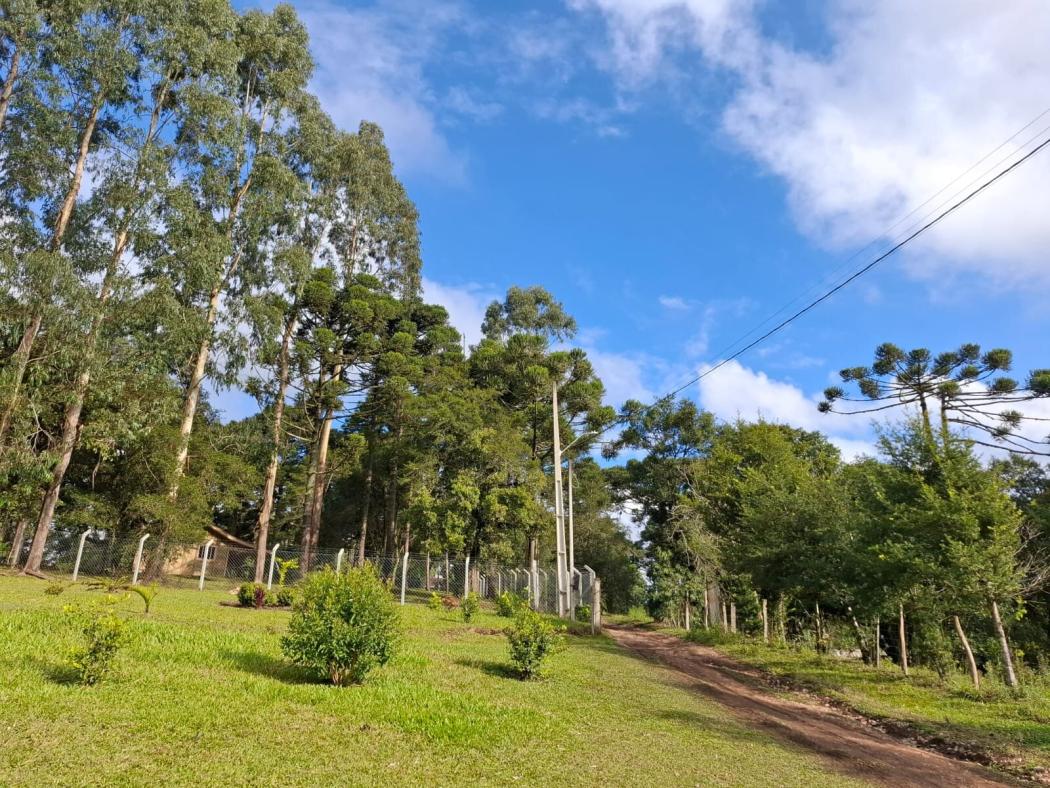 Casa à venda em Colônia Murici, São José dos Pinhais — Hub Urbana