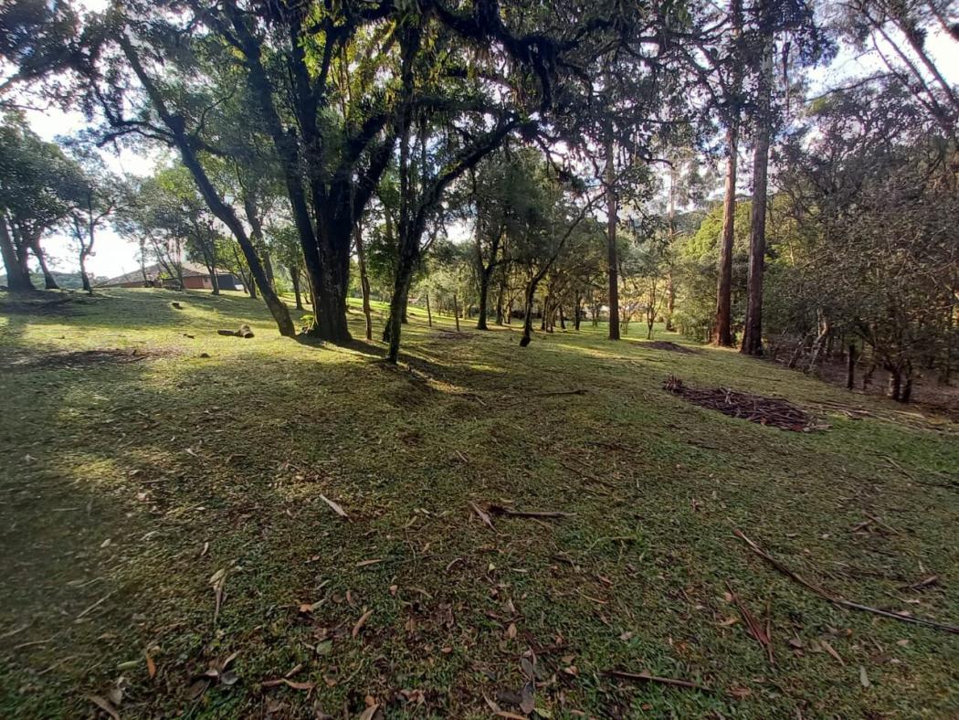Casa à venda em Colônia Murici, São José dos Pinhais — Hub Urbana