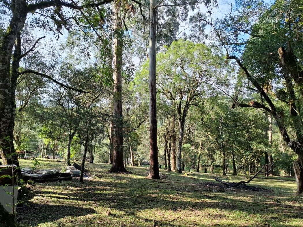 Casa à venda em Colônia Murici, São José dos Pinhais — Hub Urbana