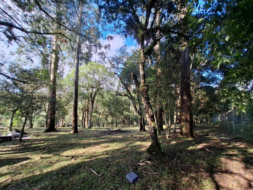 Casa à venda em Colônia Murici, São José dos Pinhais — Hub Urbana