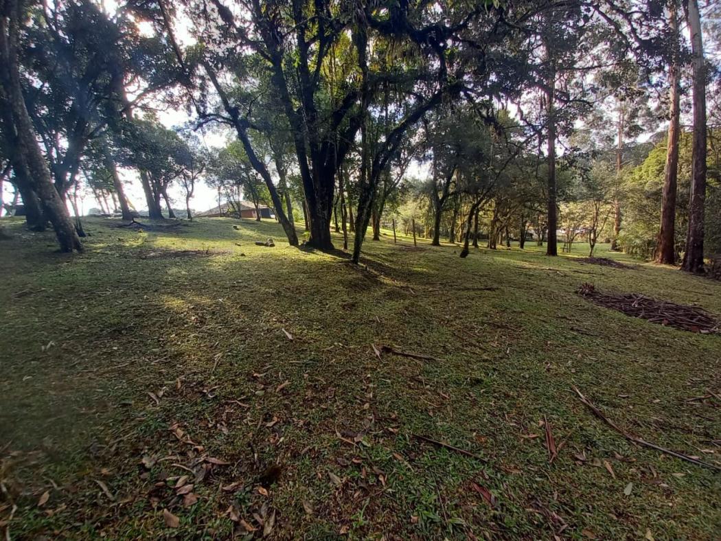 Casa à venda em Colônia Murici, São José dos Pinhais — Hub Urbana