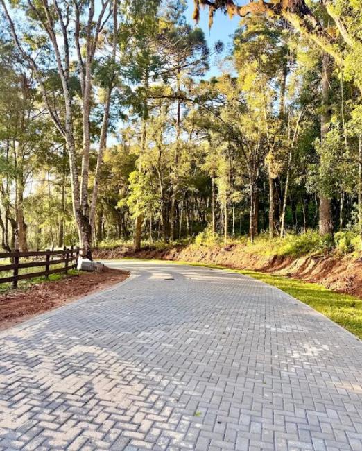 Terreno/Área à venda em Salgadinho, Campo Largo — Hub Urbana