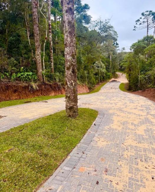 Terreno/Área à venda em Salgadinho, Campo Largo — Hub Urbana