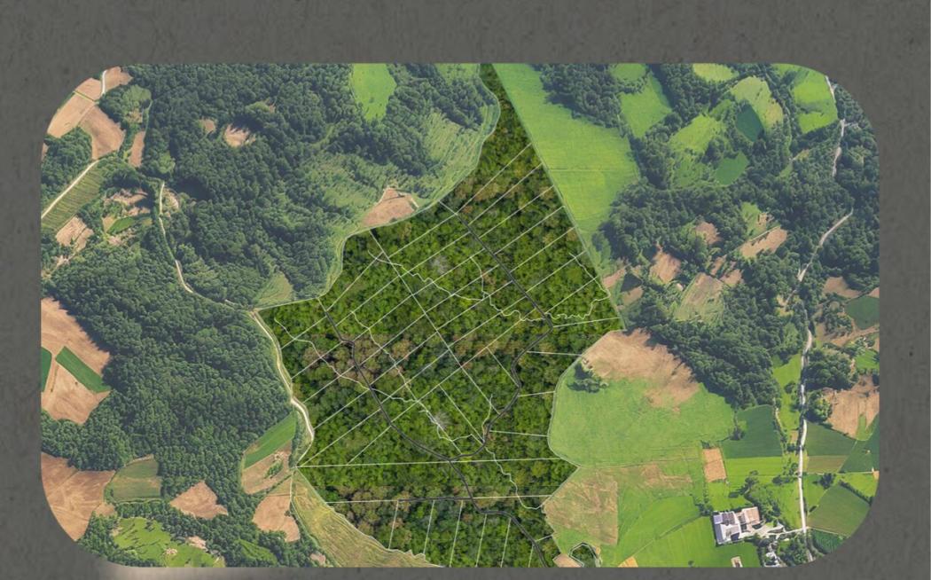 Terreno/Área à venda em Salgadinho, Campo Largo — Hub Urbana