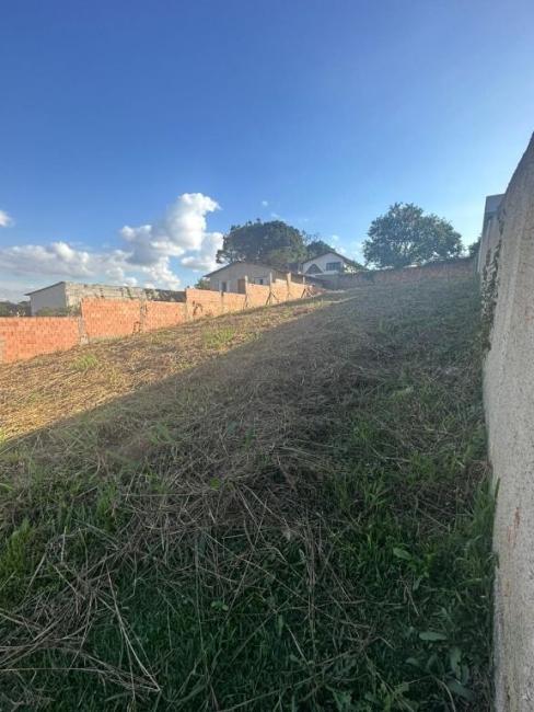 Terreno à venda, 360 m por R 135.000,00 - Jardim João Paulo II - Campina Grande do Sul PR