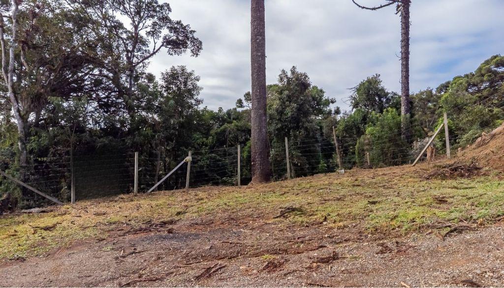 Terreno em Quatro Barras - PR, no bairro Palmitalzinho - Referência 27-AN42