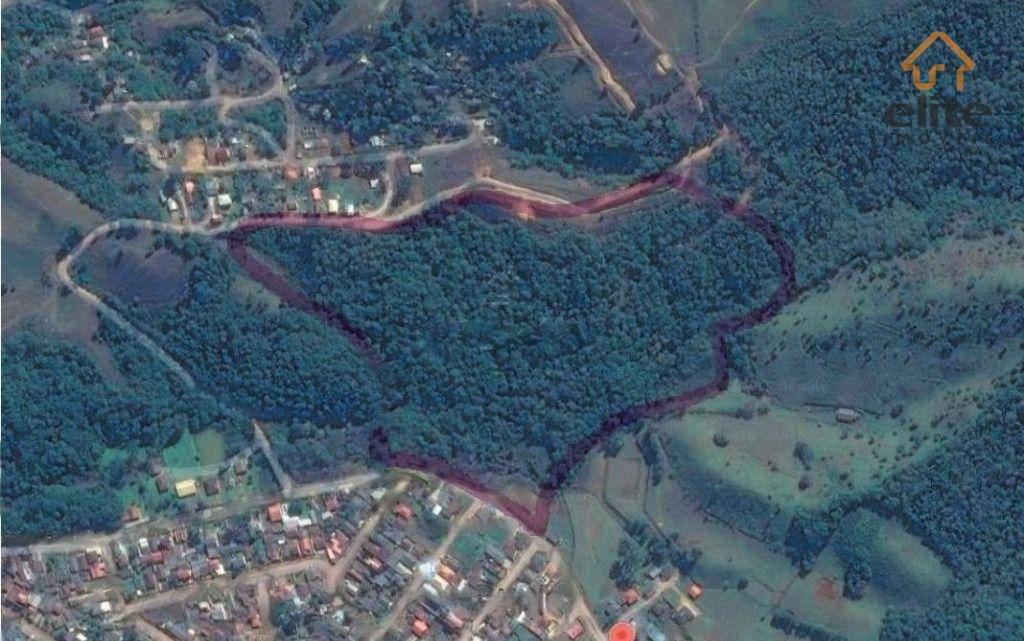 Industrial em Almirante Tamandaré - PR, no bairro Jardim Campo Verde - Referência AR0005-ELX