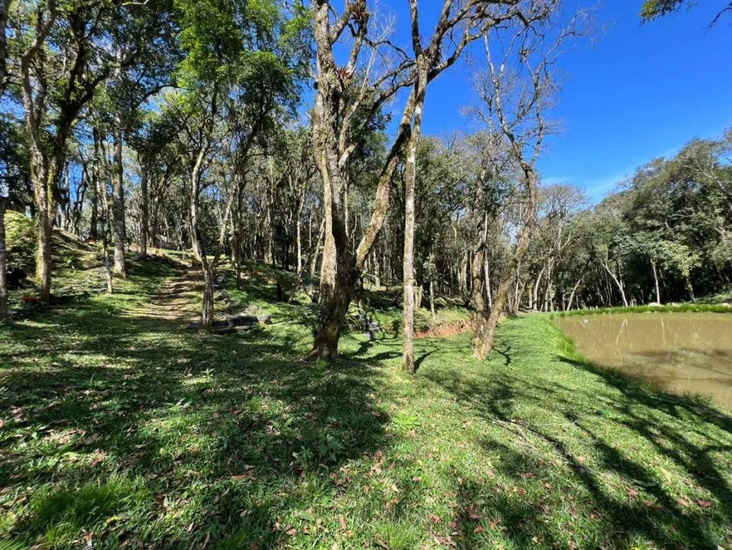 Agrícola em São José dos Pinhais - PR, no bairro Campestre da Faxina - Referência CH0001-CAV