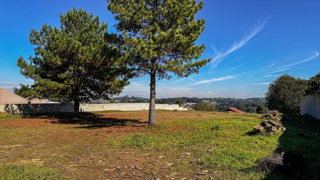 Agrícola em Campo Largo - PR, no bairro Jardim Boa Vista - Referência CH0002-CONI