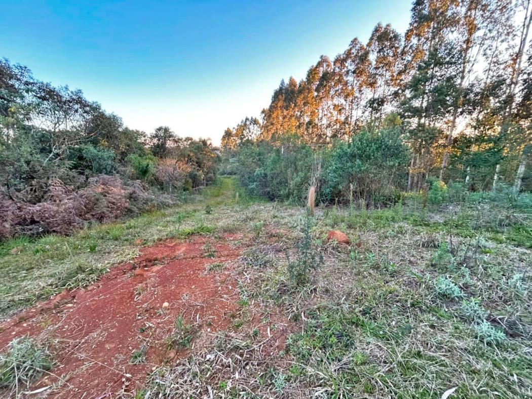 Sítio à venda - Capivari,Bocaiúva do Sul 