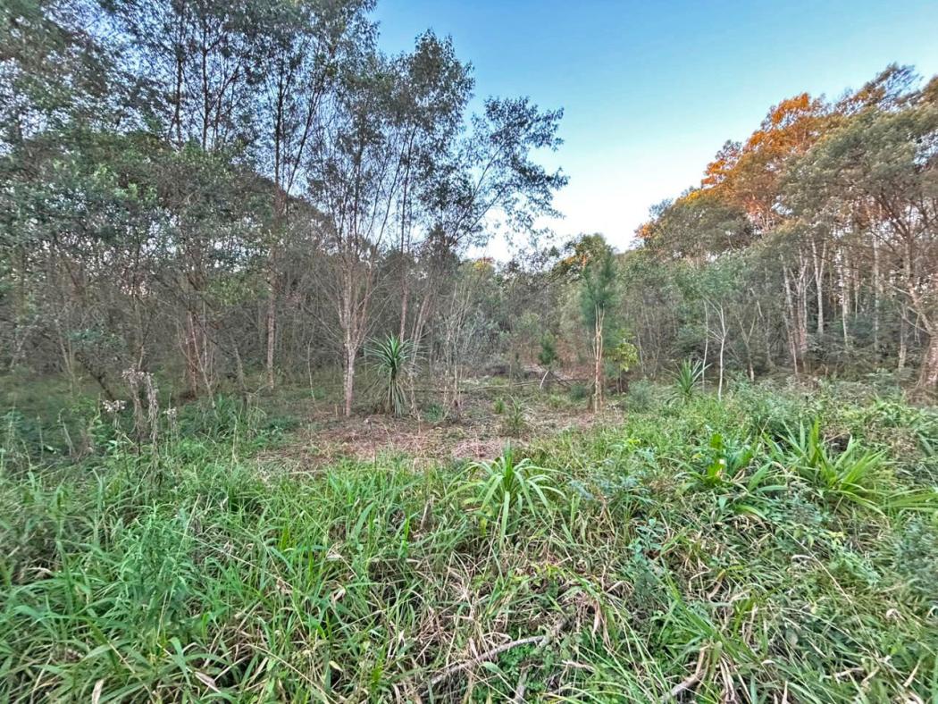  - Chácara à venda, 26060 m² por R$ 320.000,00 - Capivari - Bocaiúva do Sul/PR