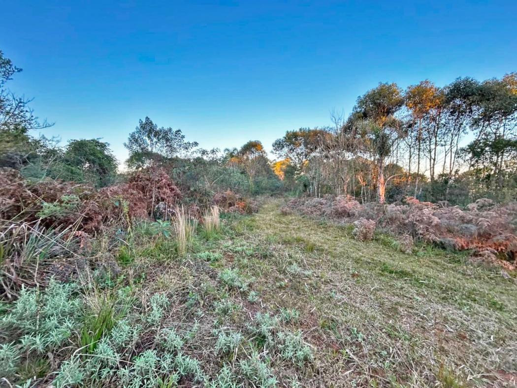  - Chácara à venda, 26060 m² por R$ 320.000,00 - Capivari - Bocaiúva do Sul/PR