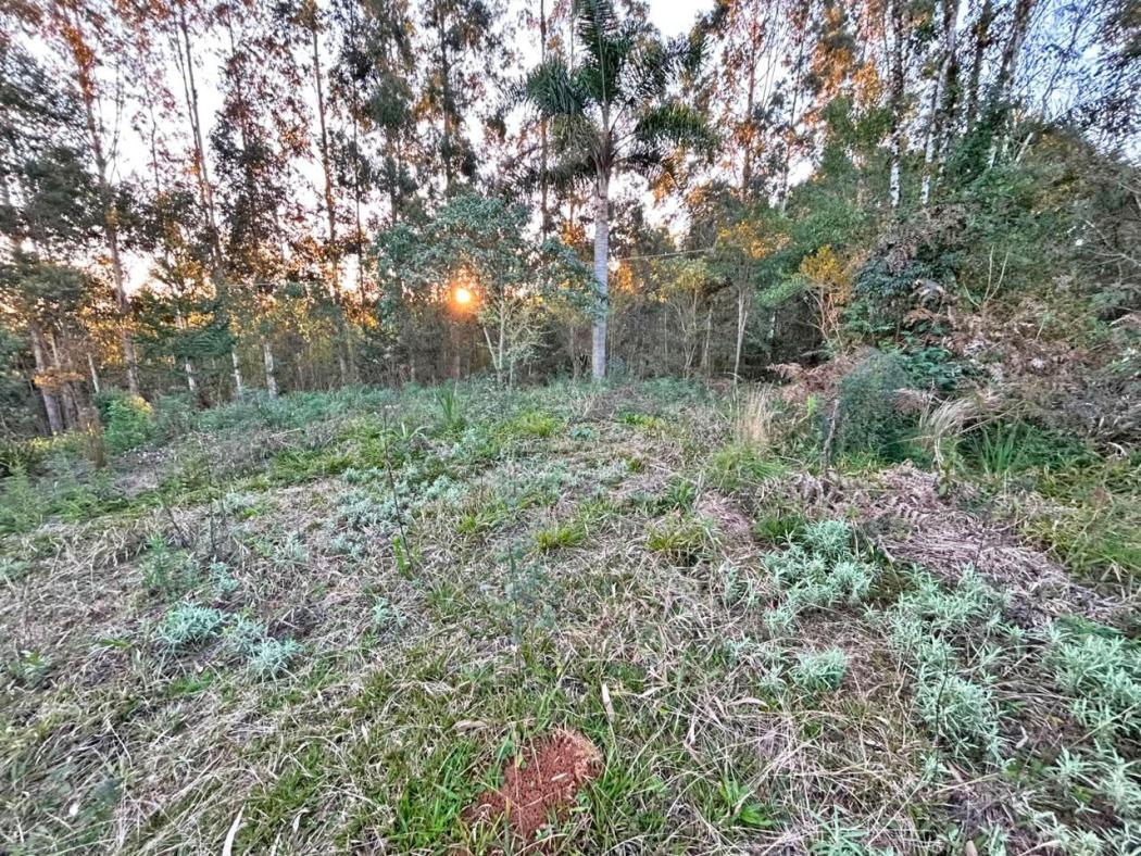  - Chácara à venda, 26060 m² por R$ 320.000,00 - Capivari - Bocaiúva do Sul/PR