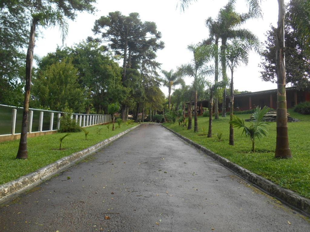 Chácara Alto Padrão à venda, 4800 m² por R$ 1.500.000 - Campo Largo da Roseira - São José dos Pinhais/PR