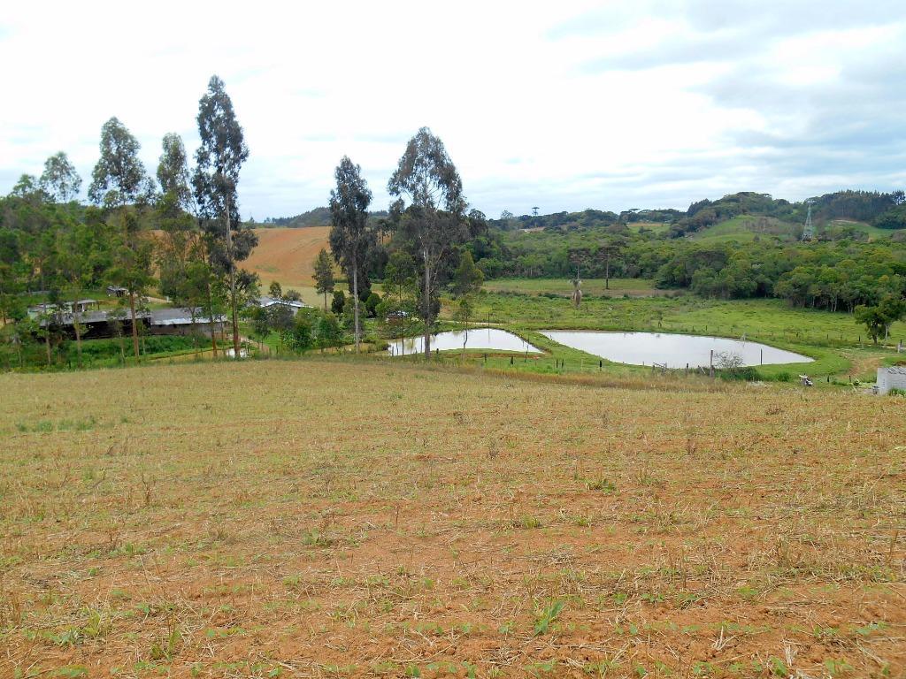 Agrícola em Mandirituba - PR, no bairro Areia Branca dos Assis - Referência CH0009-CBF