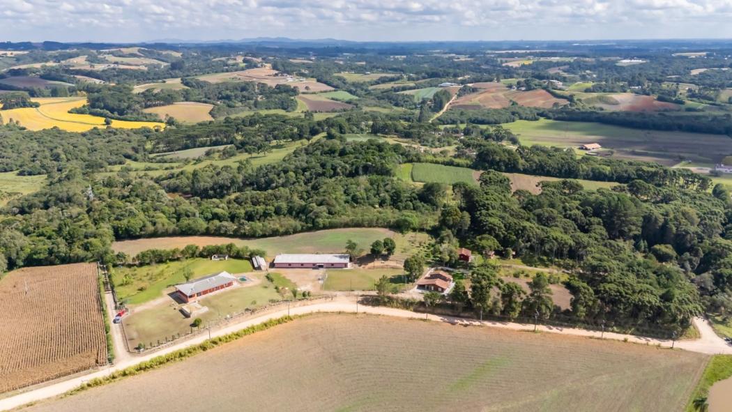 Agrícola em São José dos Pinhais - PR, no bairro Avencal - Referência CH0077-FGME