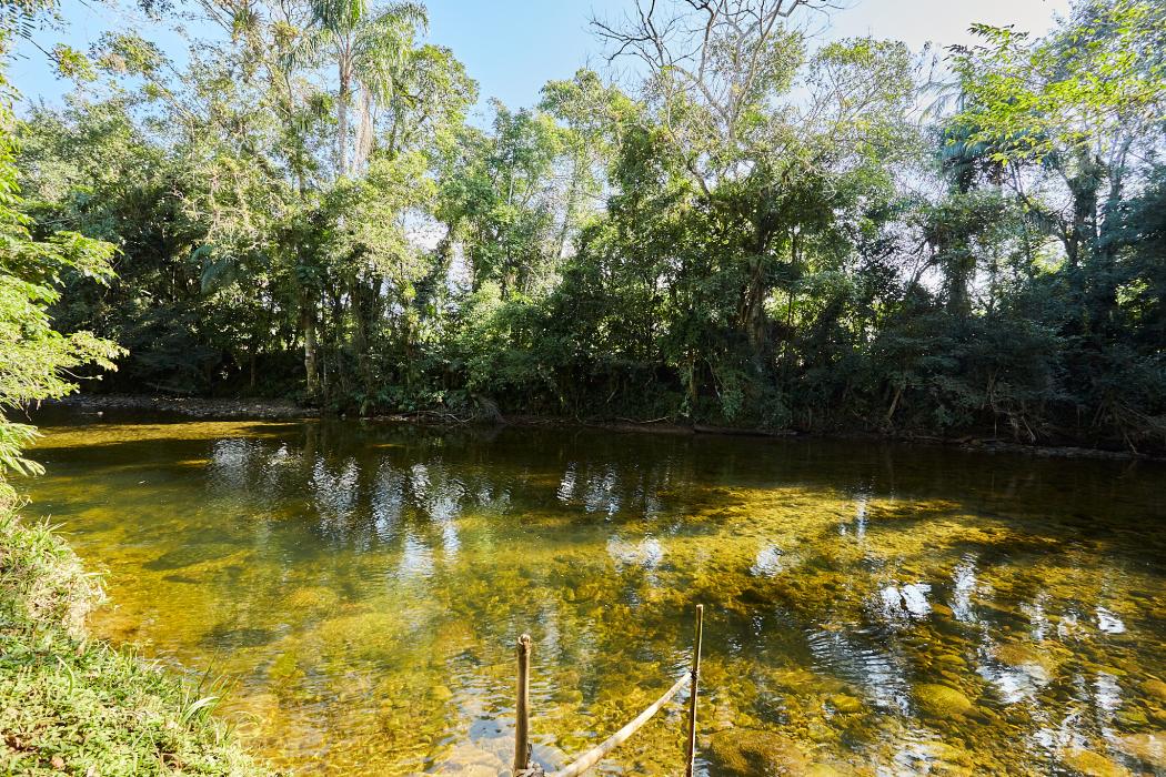 Agrícola em MORRETES - PR, no bairro  - Referência CH3072-ALAMO