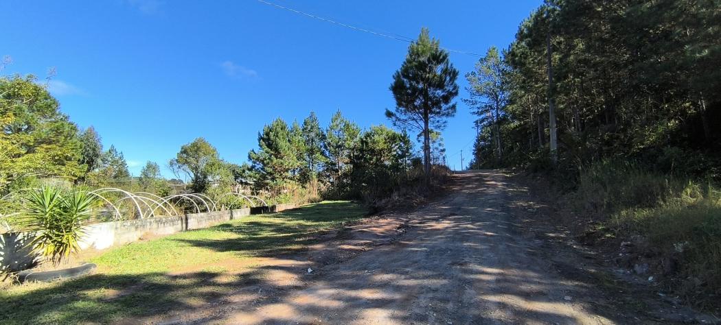 Agrícola em TIJUCAS DO SUL - PR, no bairro Matulão - Referência CH404X-H4I