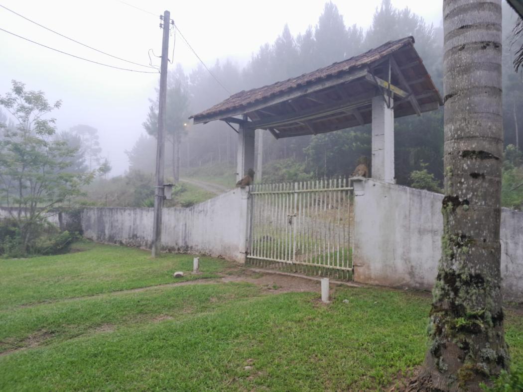  em TIJUCAS DO SUL - PR, no bairro Matulão - Referência CH404X-H4I