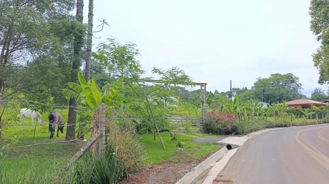  - Chácara á venda em Irati Pr