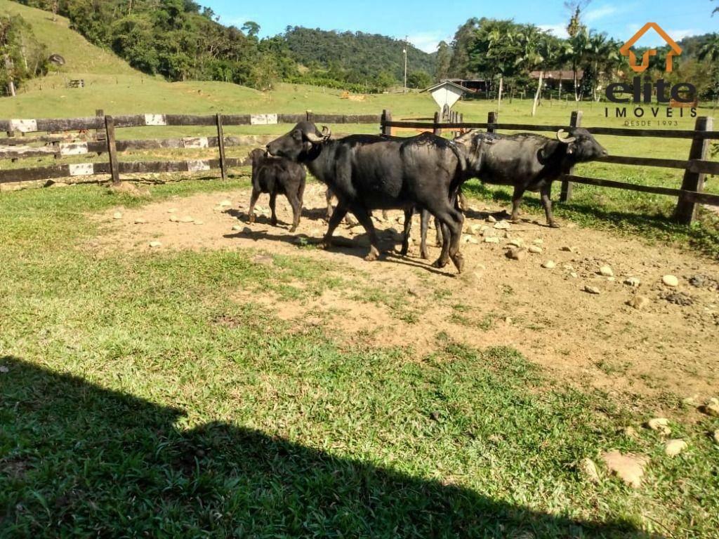 Agrícola em Guaraqueçaba - PR, no bairro Tagaçaba de Cima - Referência FA0004-ELX