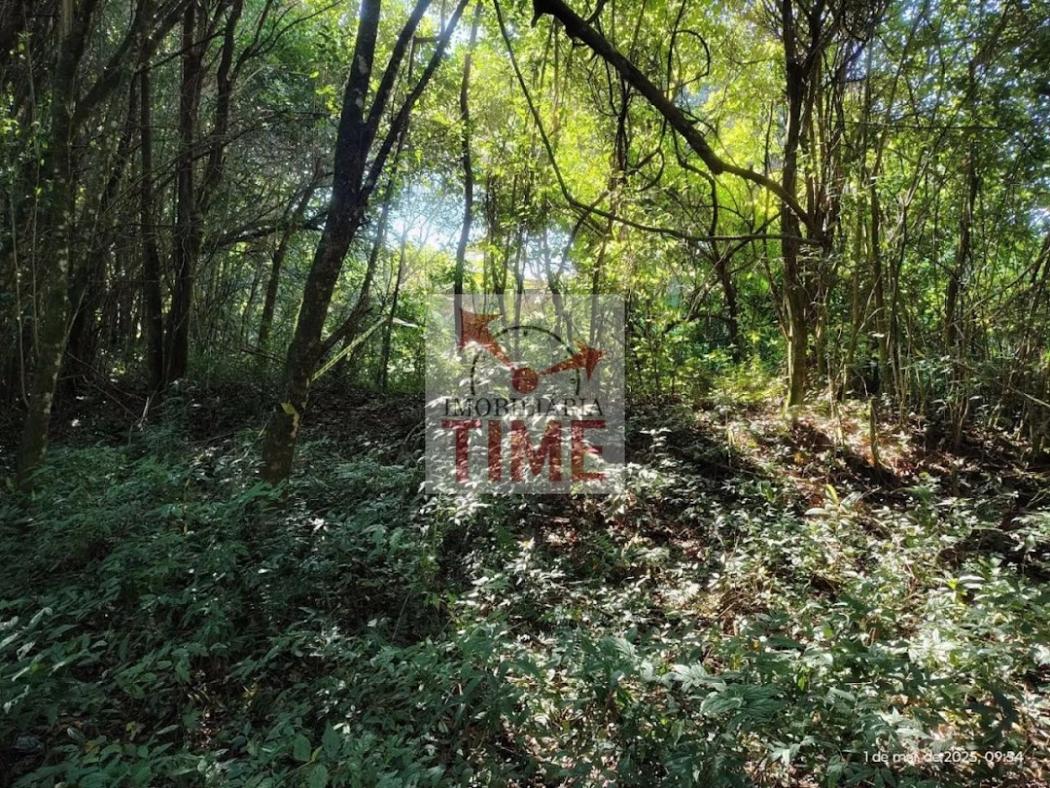  - Terreno de 12.300 m² em Campo Largo PR – Frente BR 277, ideal para Investidores e Empresas- TE0001.