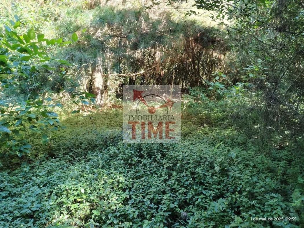  - Terreno de 12.300 m² em Campo Largo PR – Frente BR 277, ideal para Investidores e Empresas- TE0001.