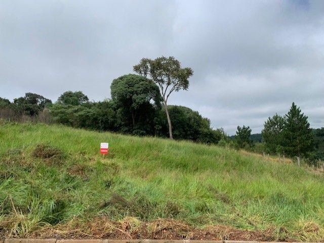Terreno em Ponta Grossa - PR, no bairro Estrela - Referência TE0007-EVOS