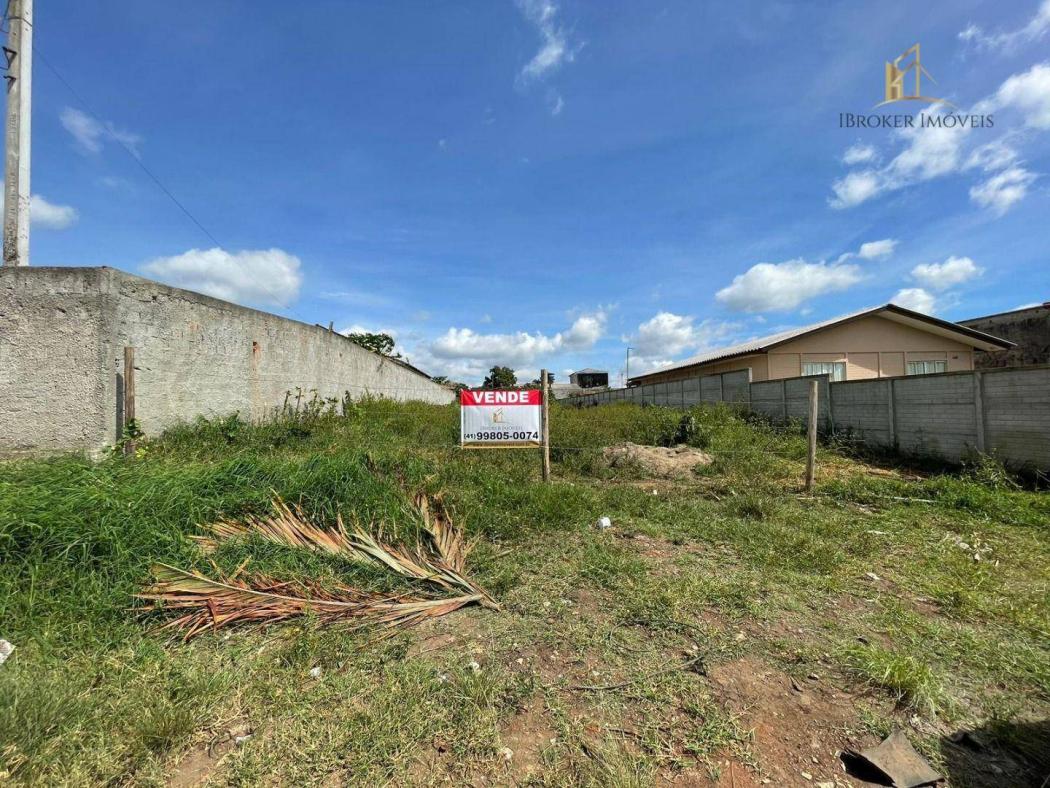 Terreno em São José dos Pinhais - PR, no bairro Borda Do Campo - Referência TE0019-IBRK