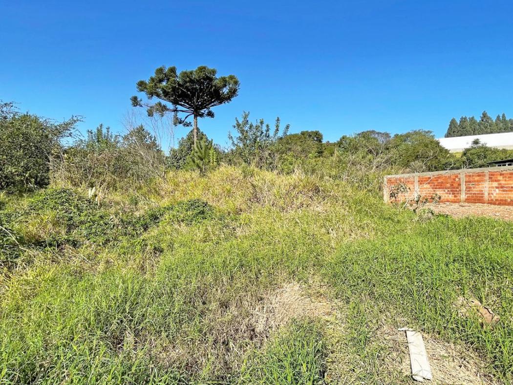 Terreno em Colombo - PR, no bairro Paloma - Referência TE0023-GIMOB