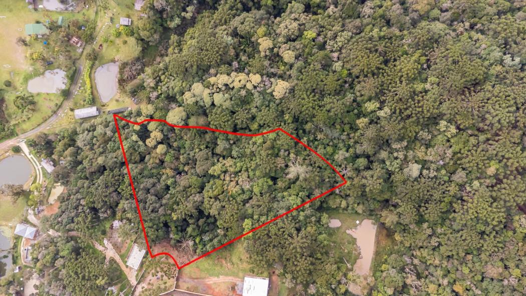 Terreno em Quatro Barras - PR, no bairro Palmitalzinho - Referência TE0030-AN42