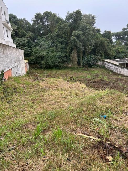 Terreno à venda, 1032 m² por R$ 1.100.000,00 - Santa Cândida - Curitiba/PR - voa corretor