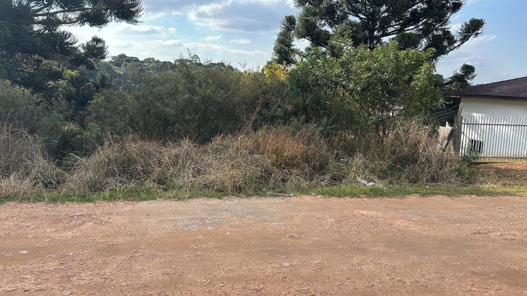 Terreno em Quitandinha - PR, no bairro Vila Nova - Referência TE0035-CBJV