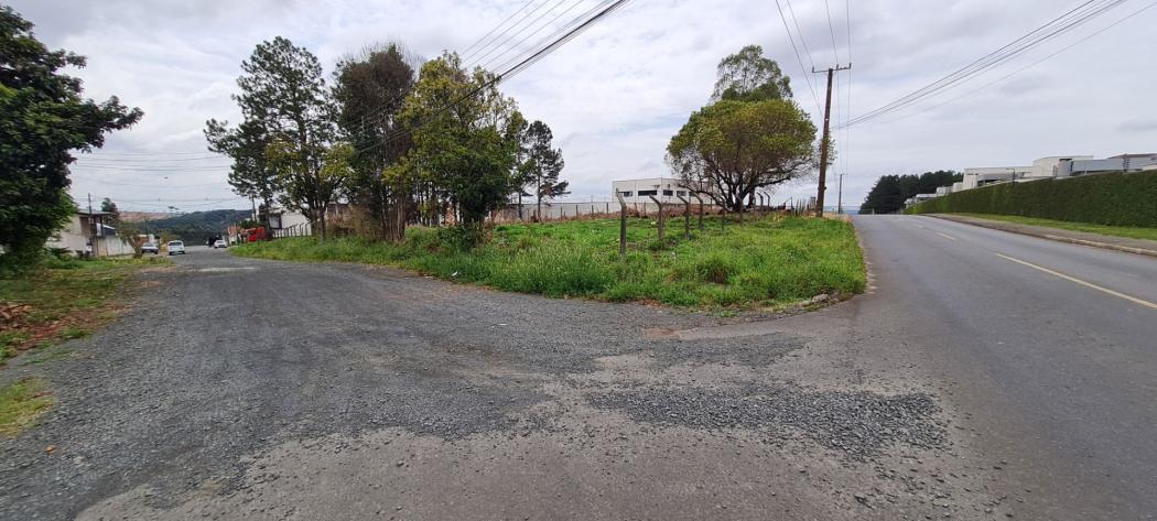 Terreno em Ponta Grossa - PR, no bairro Jardim Carvalho - Referência TE0038-CBJV