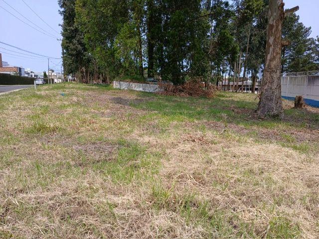 Terreno à venda - Jardim Carvalho,Ponta Grossa 